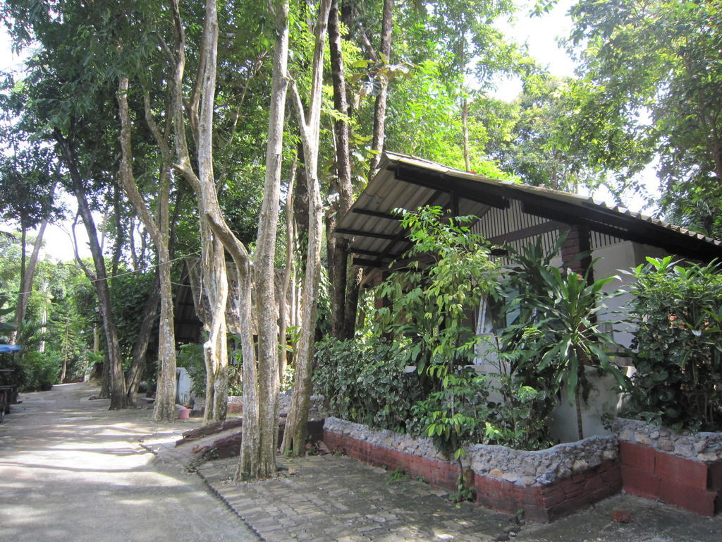 Pine Bungalow קראבי מראה חיצוני תמונה