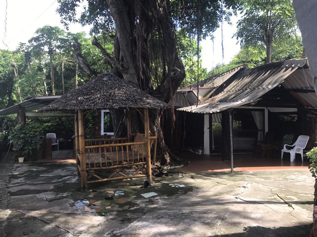 Pine Bungalow קראבי מראה חיצוני תמונה
