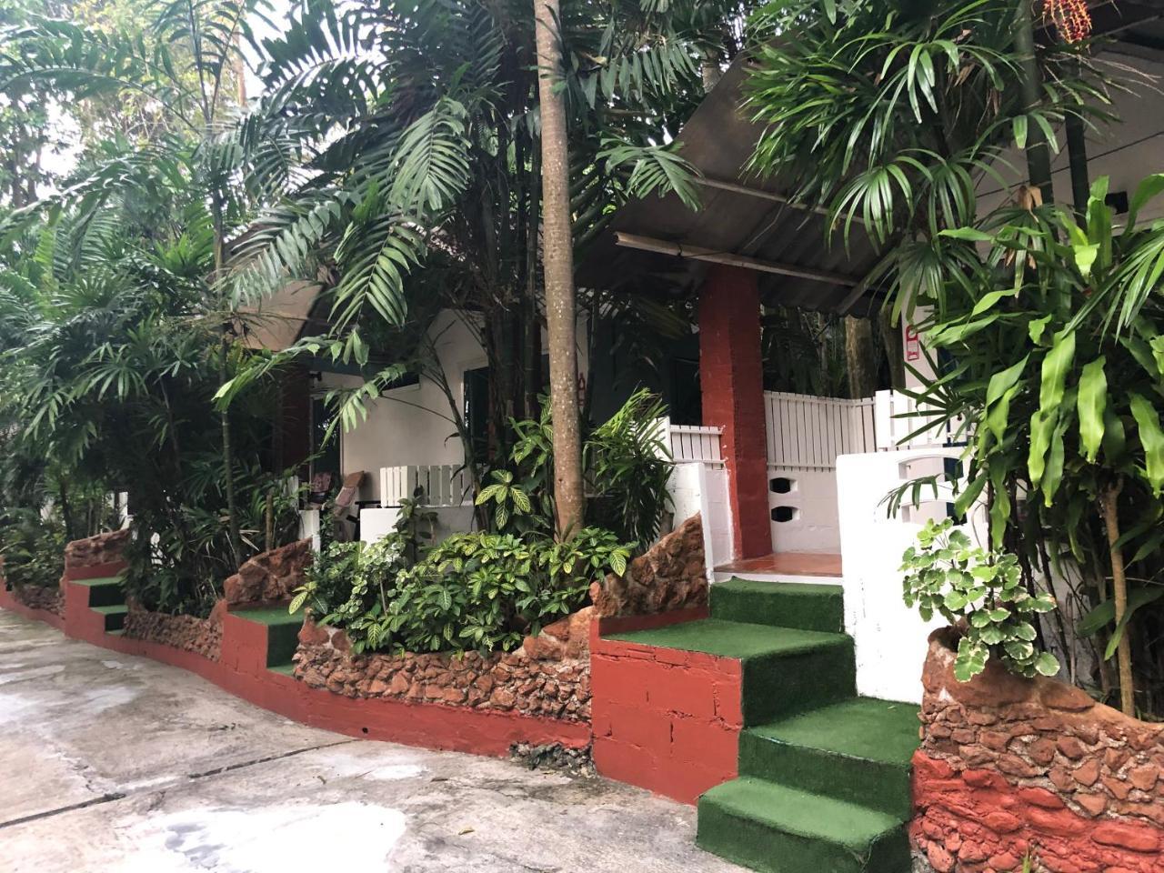 Pine Bungalow קראבי מראה חיצוני תמונה
