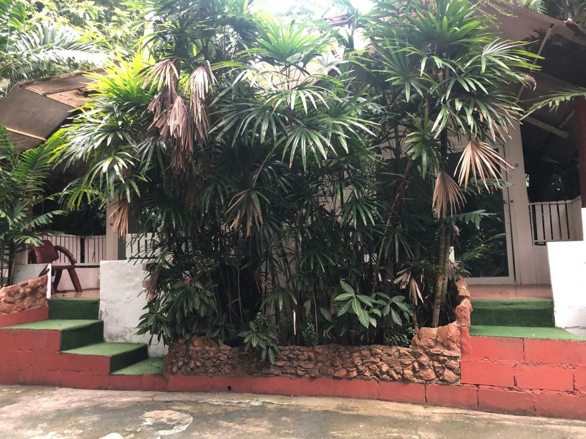 Pine Bungalow קראבי מראה חיצוני תמונה